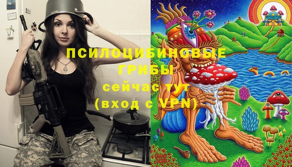 мескалин Елабуга