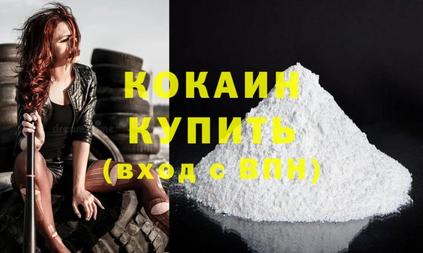 спиды Елизово