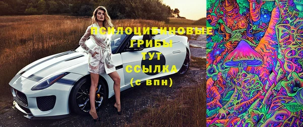 спиды Елизово